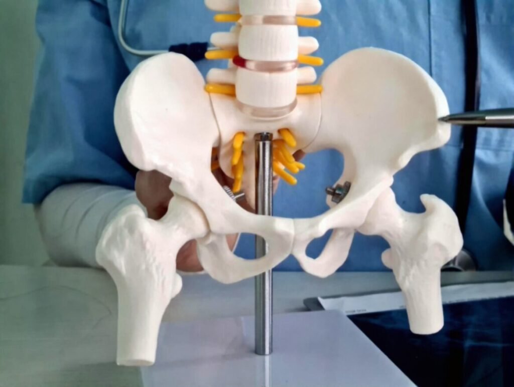 Ceramic Hip Replacement